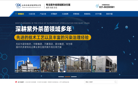 上海冬翼光電有限公司網(wǎng)站制作案例